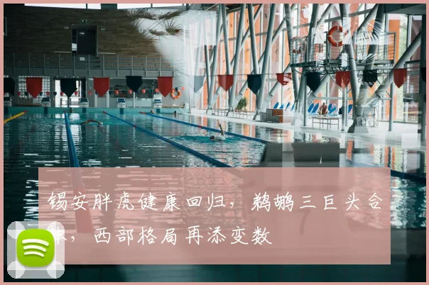 锡安胖虎健康回归，鹈鹕三巨头合体，西部格局再添变数