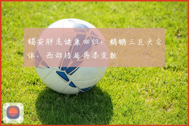 锡安胖虎健康回归，鹈鹕三巨头合体，西部格局再添变数
